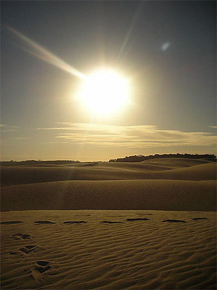 Lencois Maranhenses : petites dunes