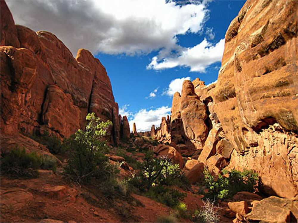 Fiery Furnace - Arches National Park