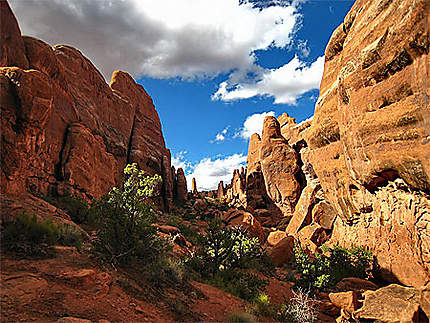 Fiery Furnace - Arches National Park