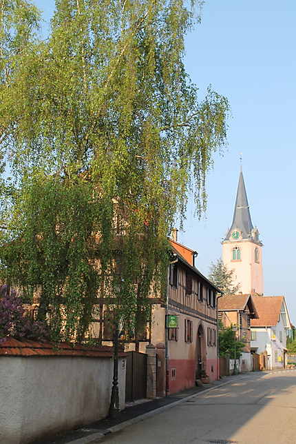 Une rue d'Ohnenheim