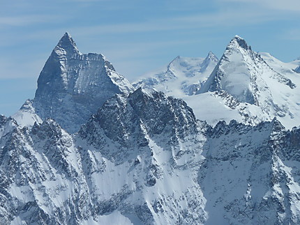 Vue du sommet du Pigne (3796m)