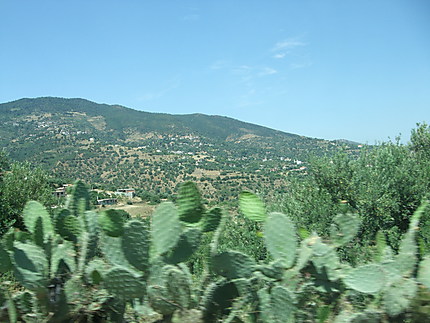 Vallée des Issers