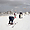Skieurs sur le Tochal
