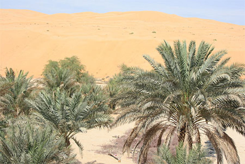 Dune de sable