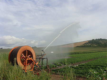 L'arrosage L'arrosage