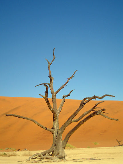 Désert rouge en Namibie
