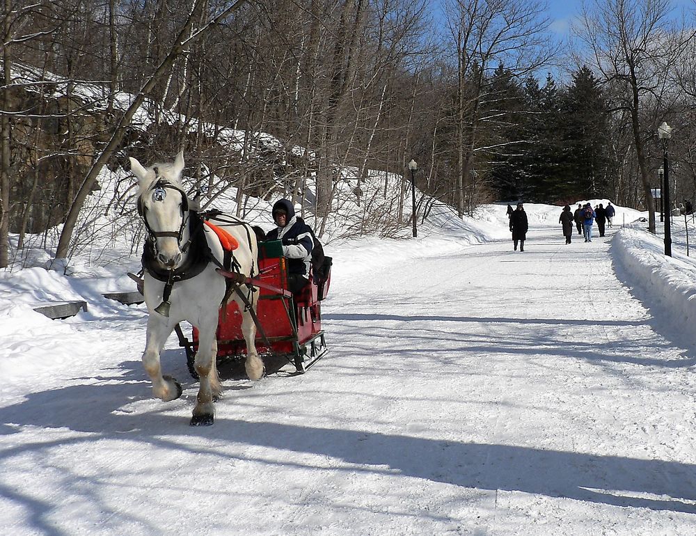 Montréal - Québec - Canada