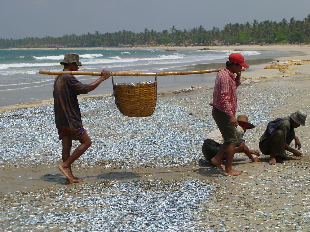 Plage de Ngwe Saung