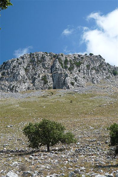 Le Profiti Elias Le Profiti Elias