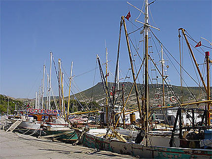 Le port de Phocée