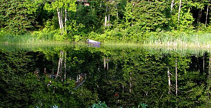 Reflets du petit lac Baldwin