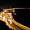 Corniche de Marseille de nuit