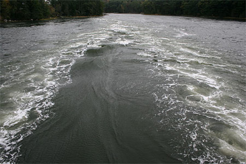 Reversing Falls (Maine)