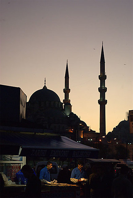 Istanbul au crépuscule