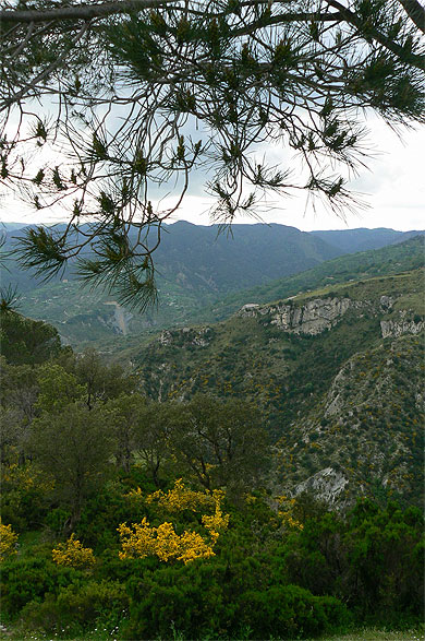 Parc régional d'Aspromonte Parc régional d'Aspromonte