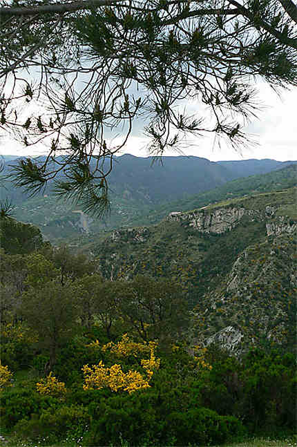 Parc régional d'Aspromonte