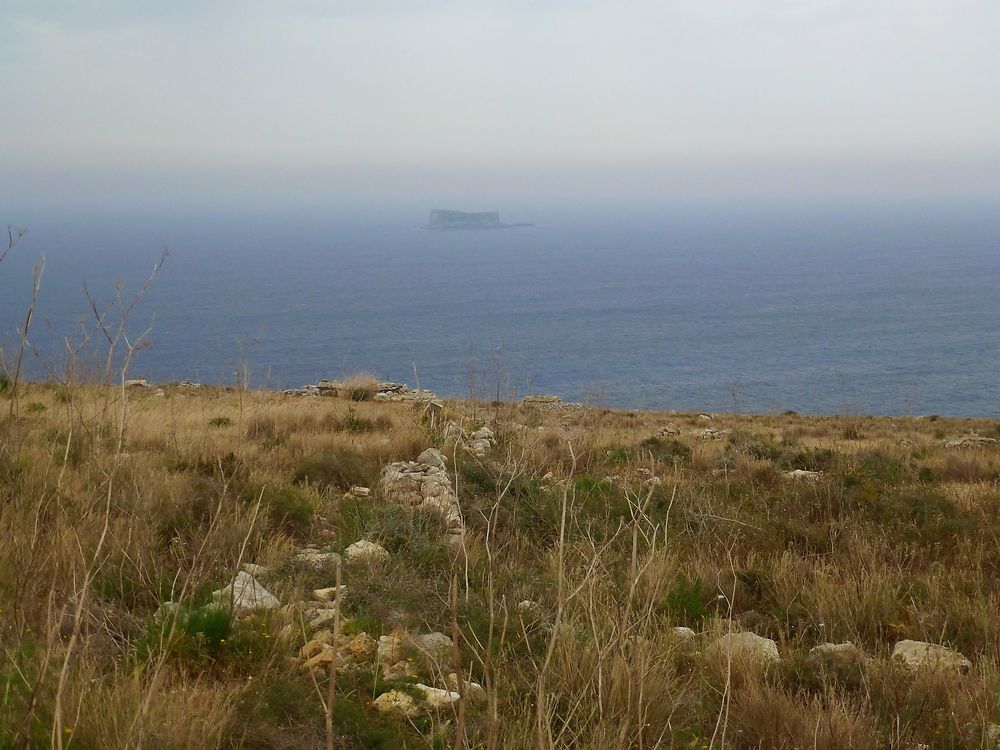 Vue sur l'îlot de Filfla