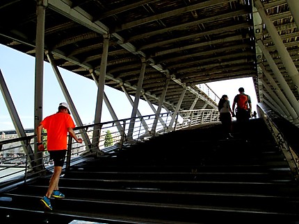 Passerelle Léopold Sedar Senghor