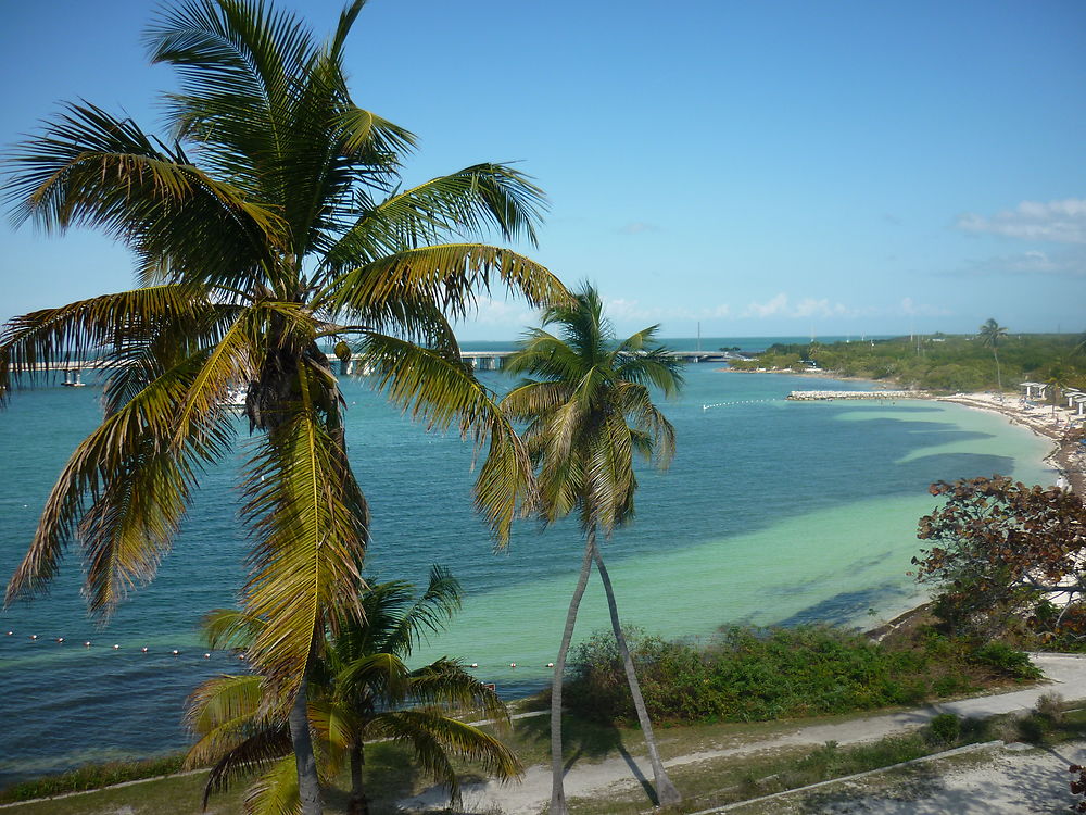 Bahia Honda 