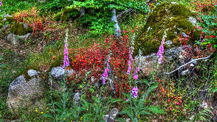 Cascade des Anglais