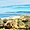 Antelope Island et son grand lac salé