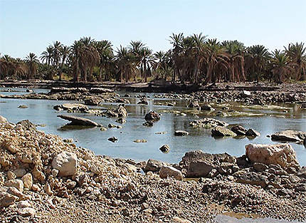 A l'entrée du wadi Tiwi