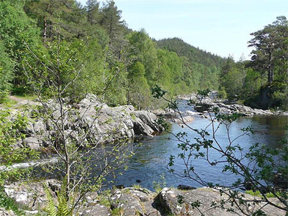 Dog Falls à Glen Affric