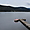 Le lac de Titisee