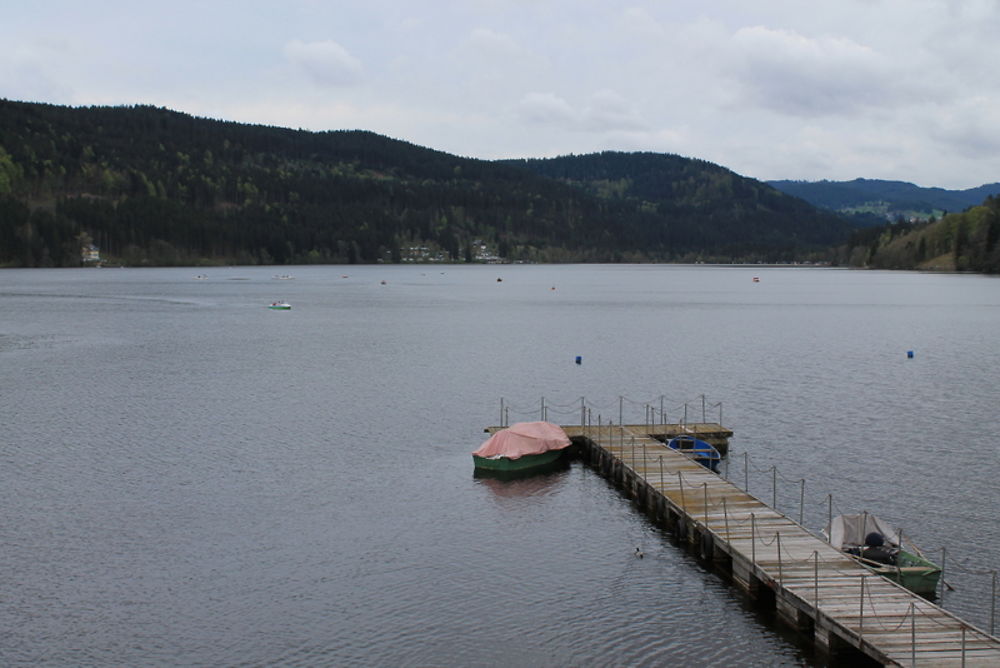 Le lac de Titisee