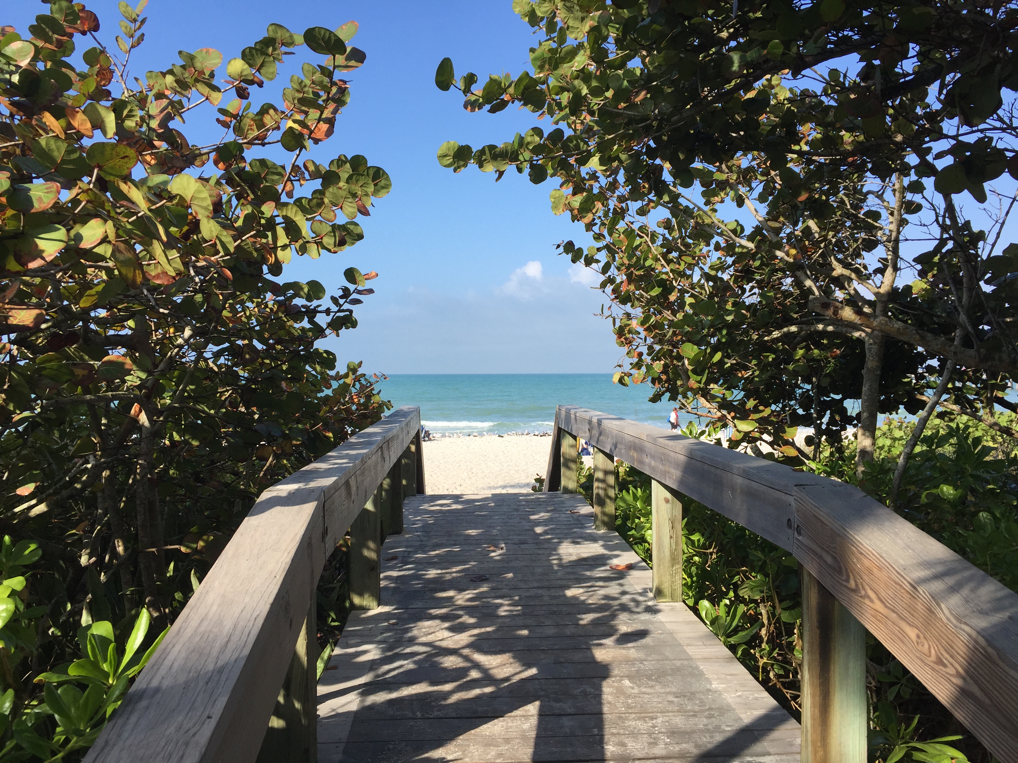 Naples Florida Naples Florida