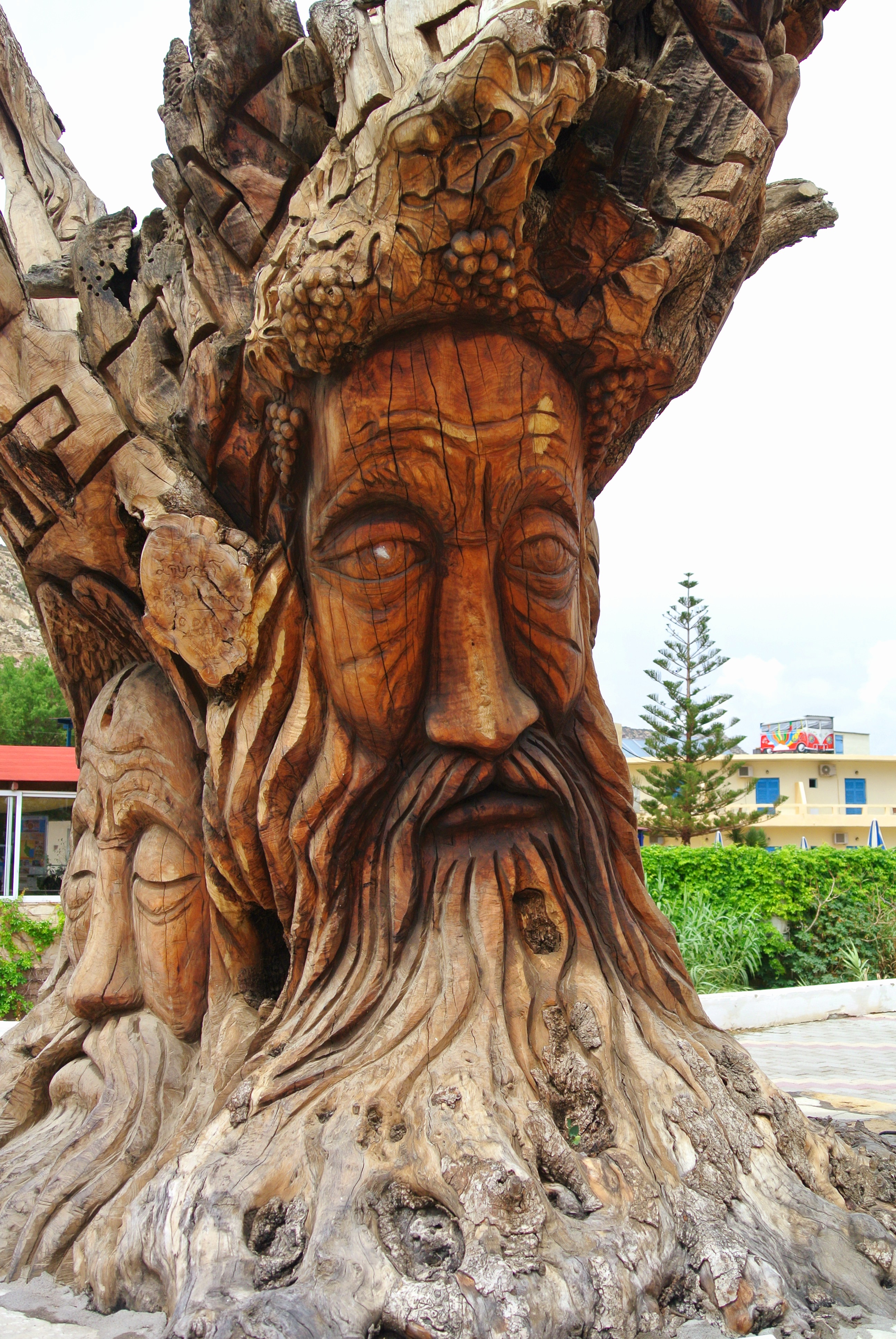 L'arbre de Matala L'arbre de Matala