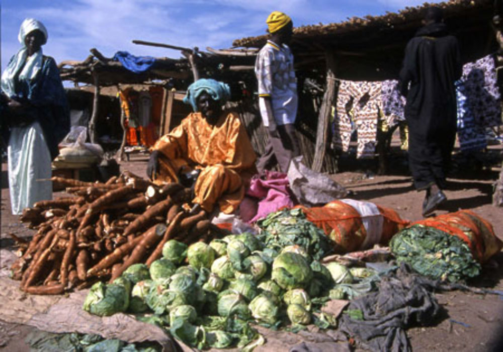 le marchand de légumes