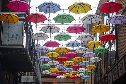 Des parapluies colorés dans une rue de Dublin