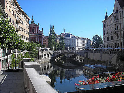 Les paisibles berges de la Ljubljanica