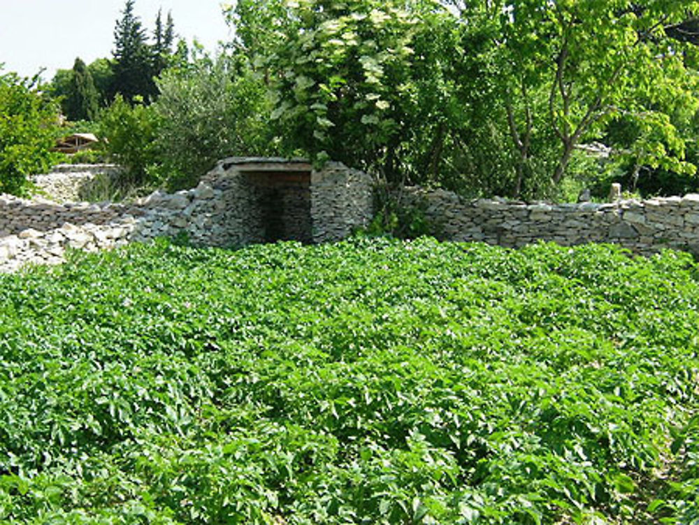 Jardins de la Condamine