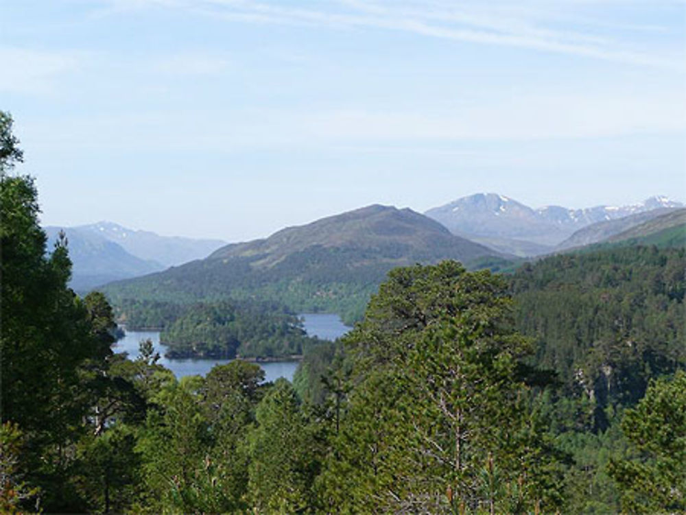 Glen Affric