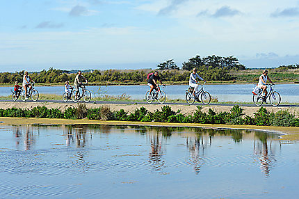 L’île de Ré à vélo