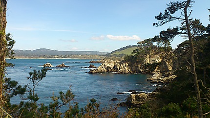 Point Lobos state reserve 