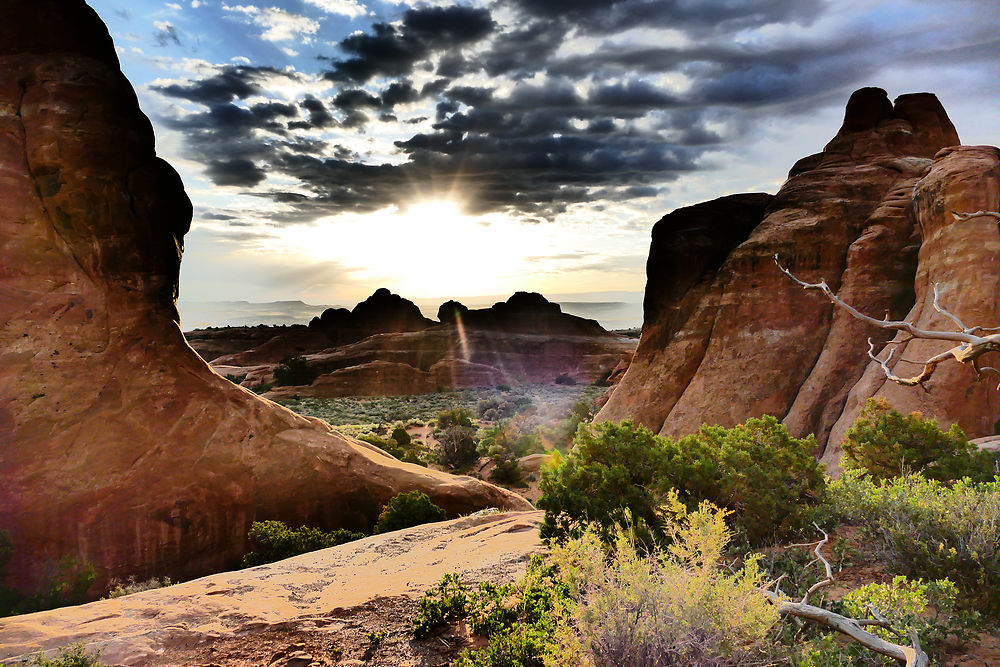 Lever de soleil dans le Devil's Garden