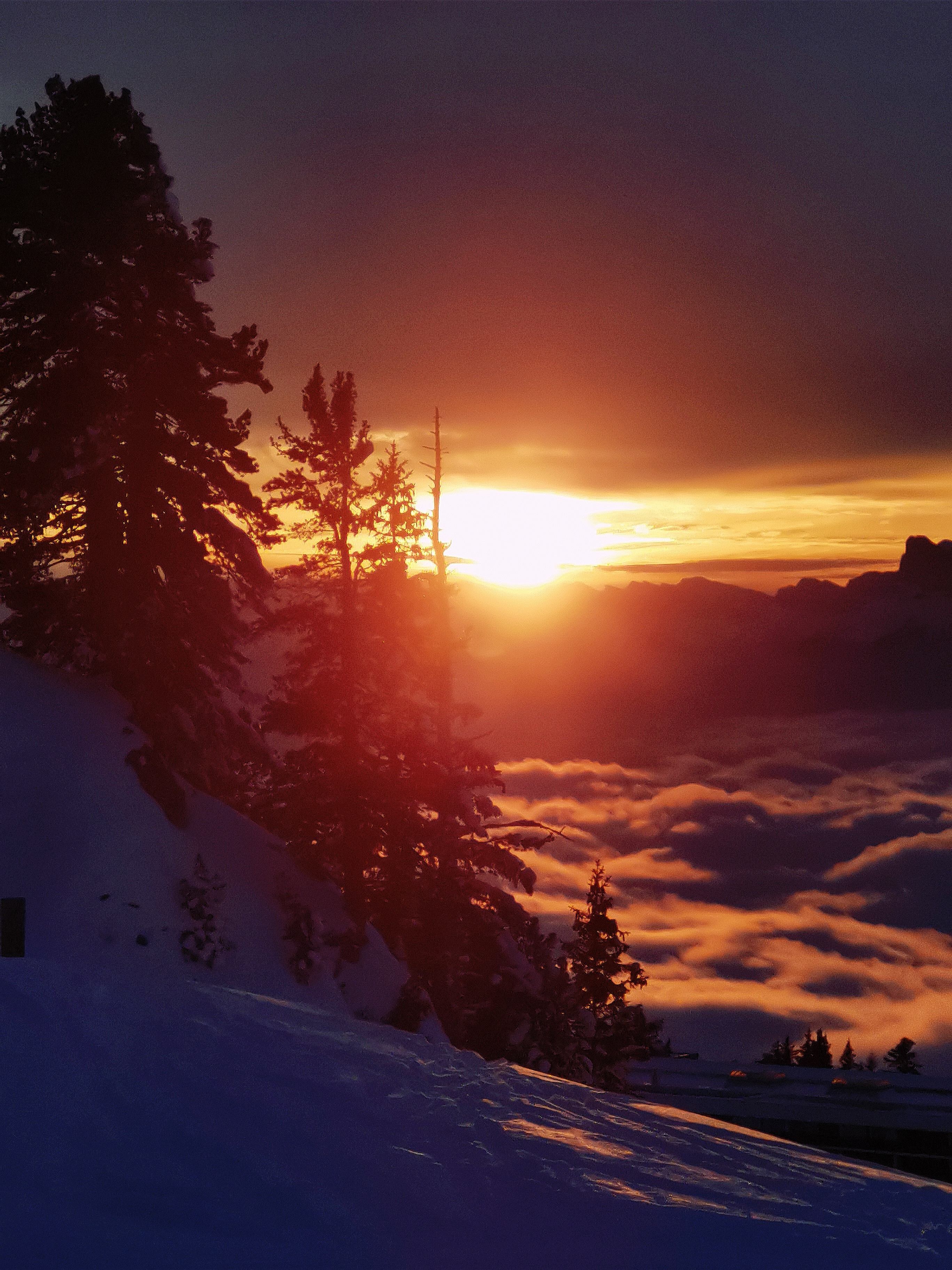 Plongeon dans les nuages Plongeon dans les nuages