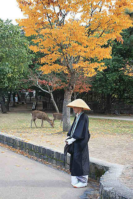 Japanese monk begging in KoyaSan