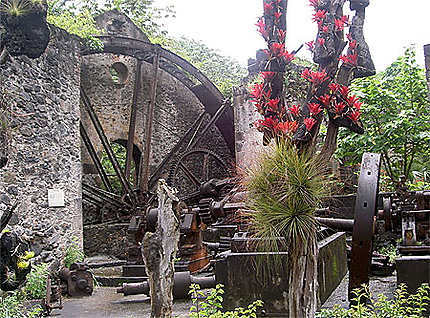 Distillerie et grande roue