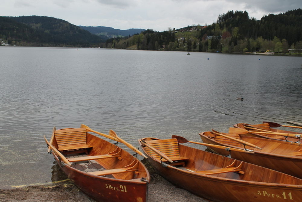 Lac de Titisee