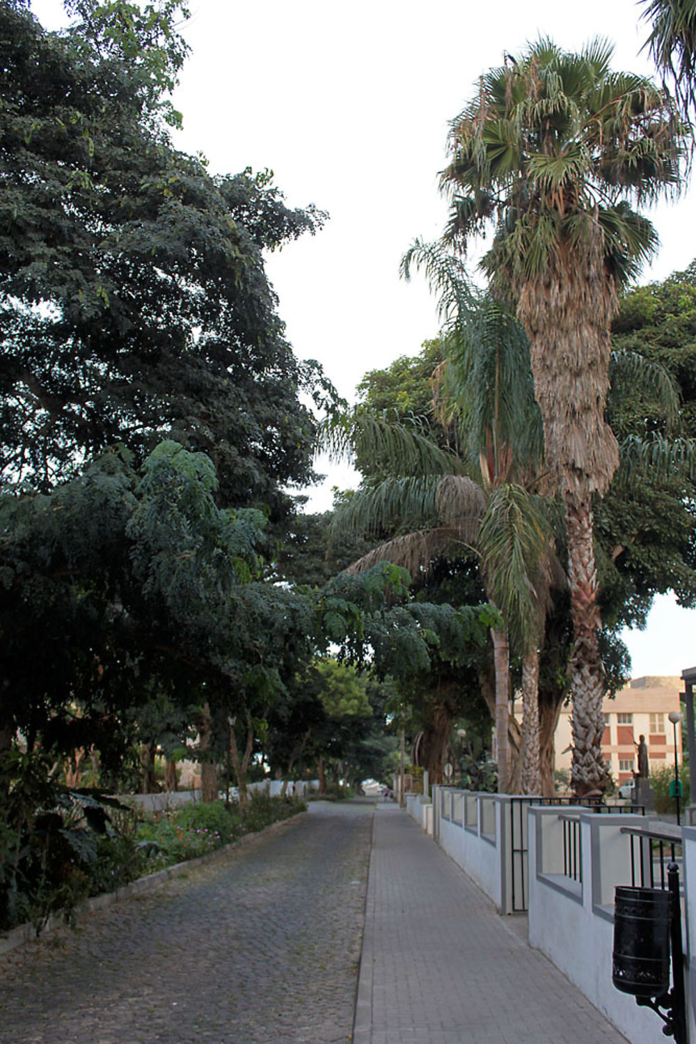 Rue Principale de Nova Sintra