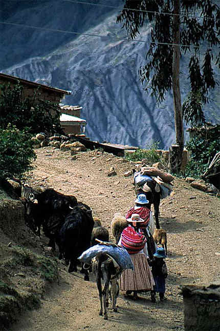 La Palca, village au nord de La Paz