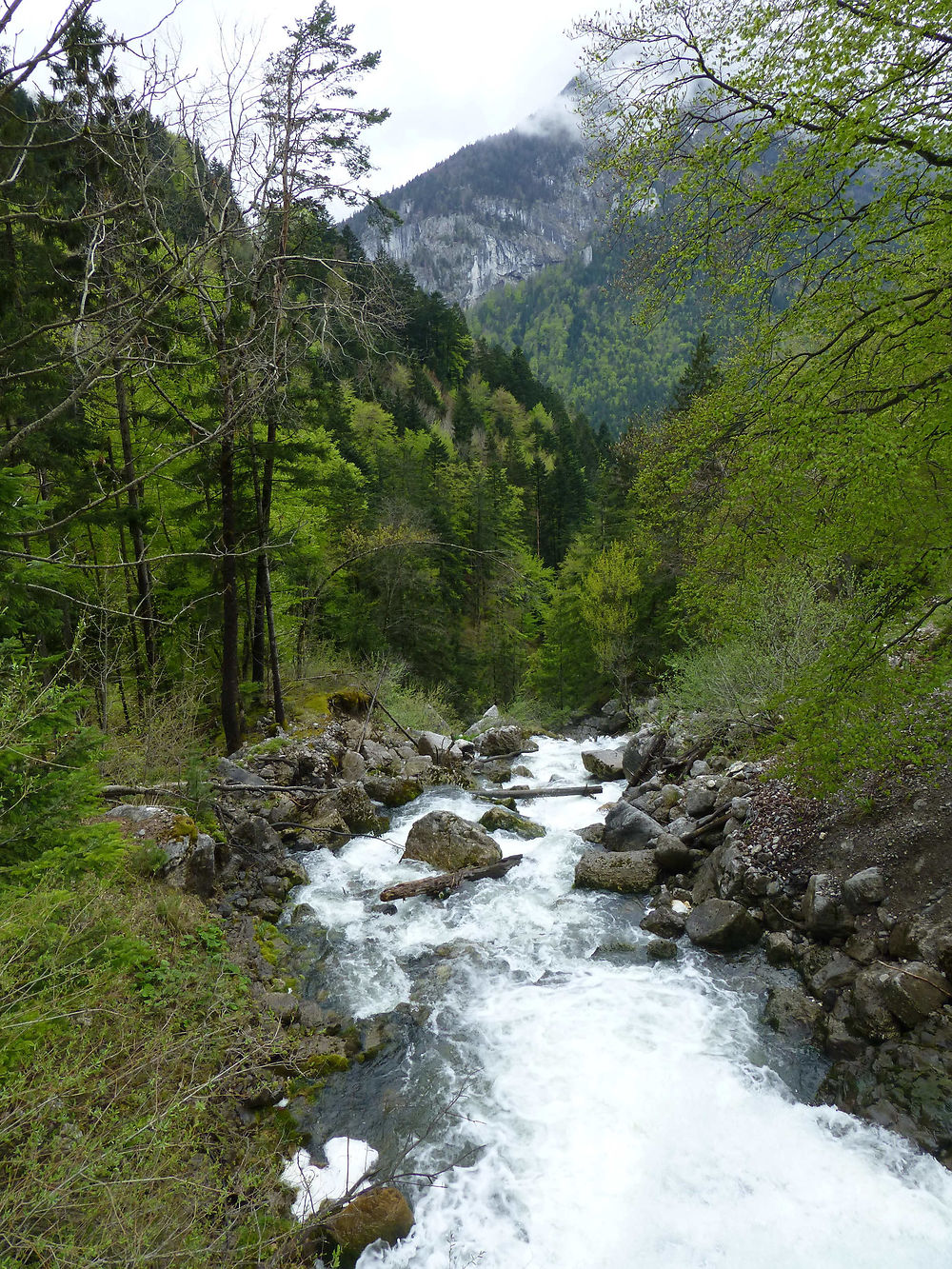 Torrent alpin