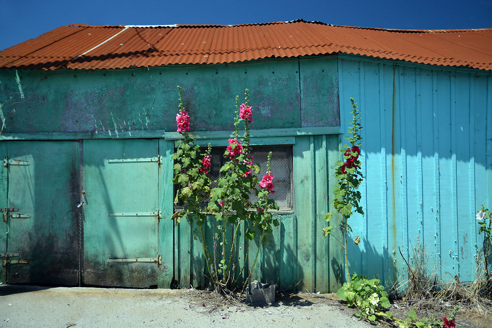 Cabanes ostréicoles