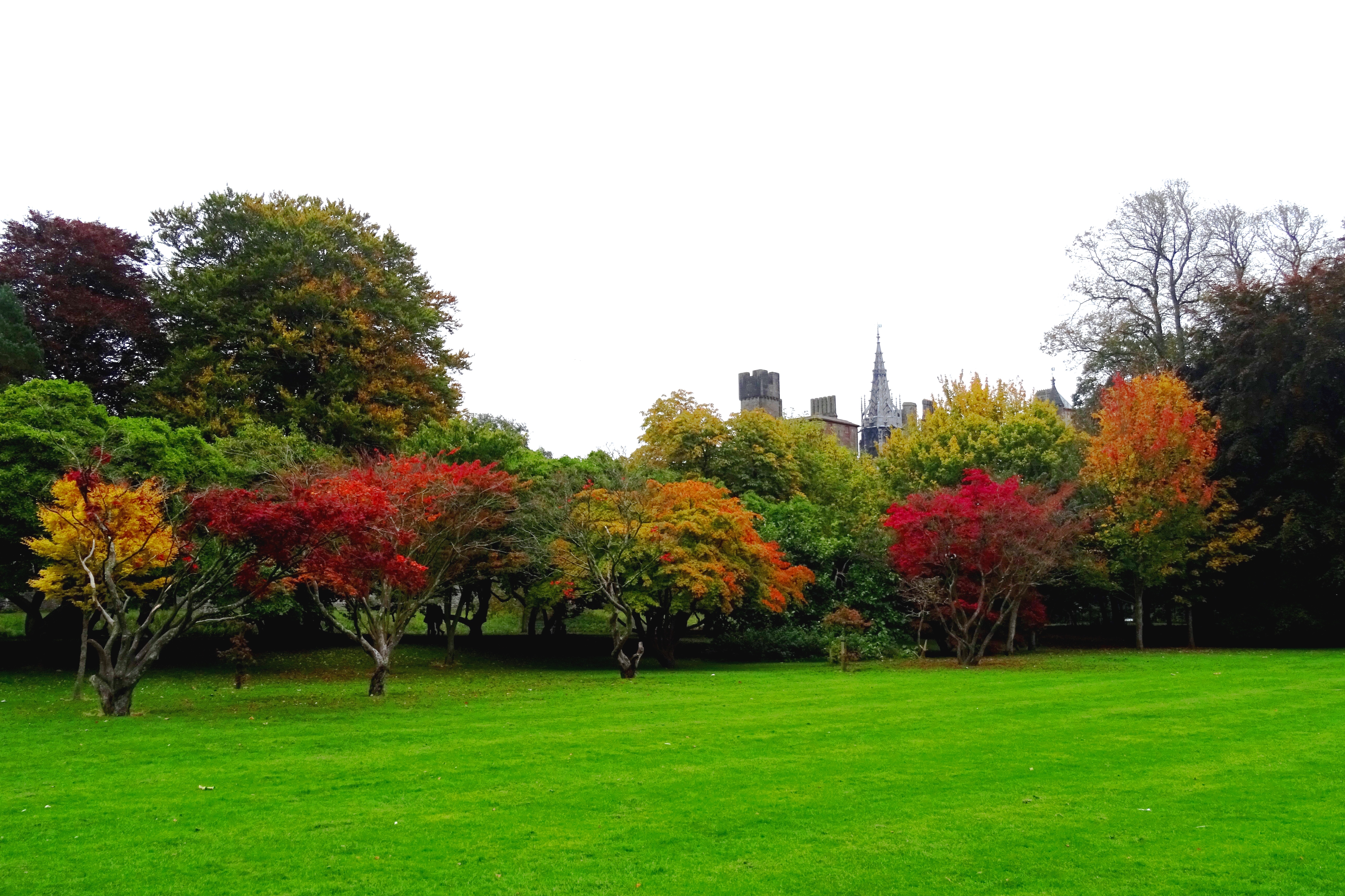 Automne à Bute Park Automne à Bute Park