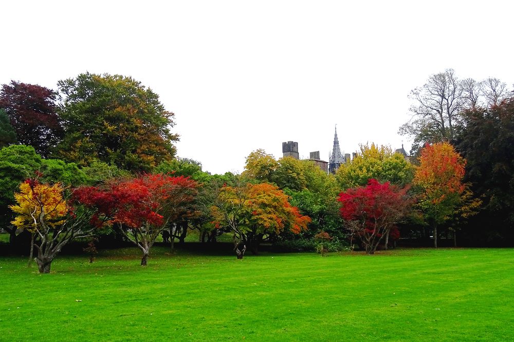 Automne à Bute Park