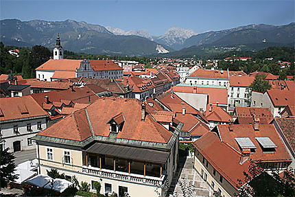 Ville de Kamnik